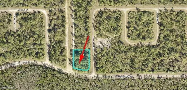 Lehigh Acres, FL 33972,344 Tyrone AVE
