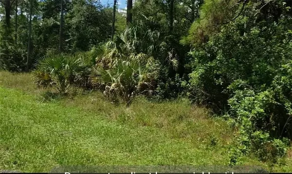 Lehigh Acres, FL 33972,1707 Maple AVE N