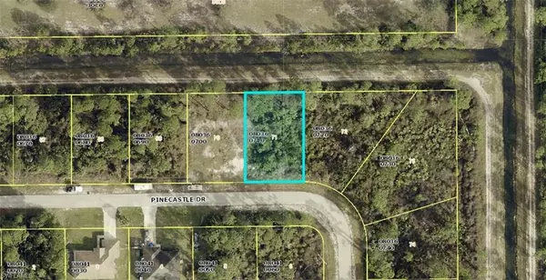 Lehigh Acres, FL 33974,755 Pinecastle DR
