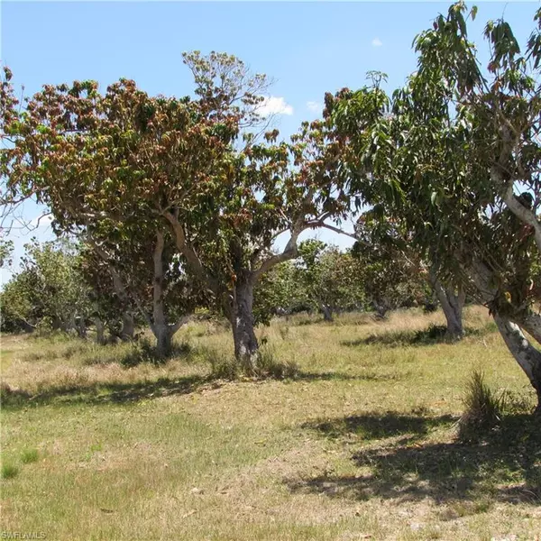 Bokeelia, FL 33922,7127 Pineland RD