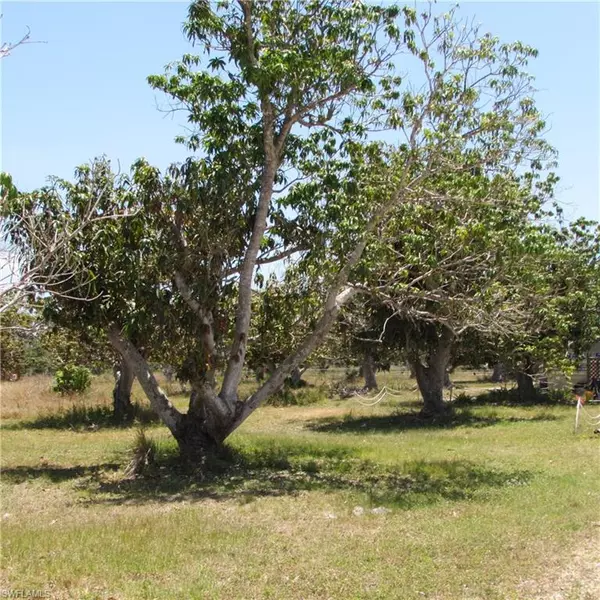 Bokeelia, FL 33922,7127 Pineland RD