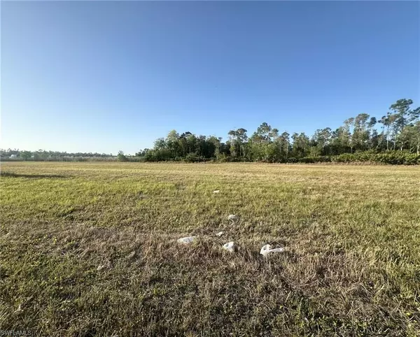 Cape Coral, FL 33991,2718 Ceitus PKWY