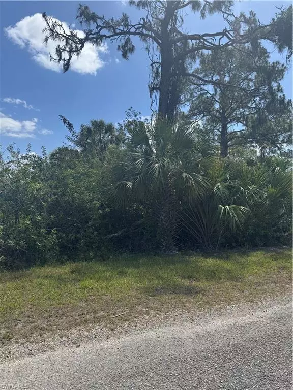 Lehigh Acres, FL 33972,1874 La Roda AVE