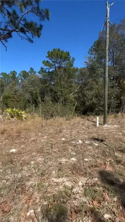 Interlachen, FL 32148,116 LANCASTER ST