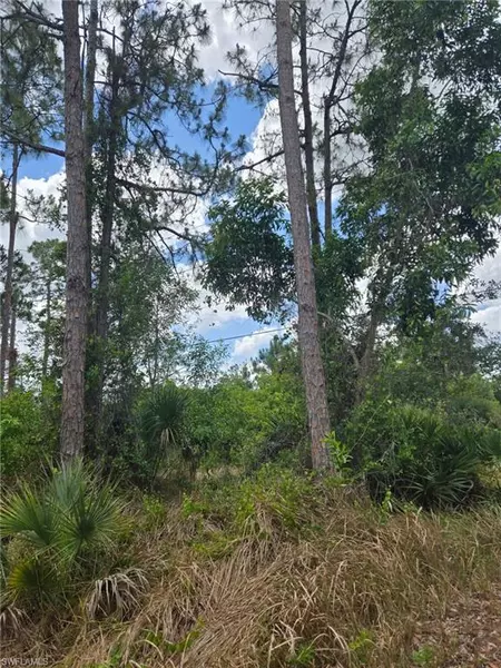 2556 Randall BLVD, Naples, FL 34120