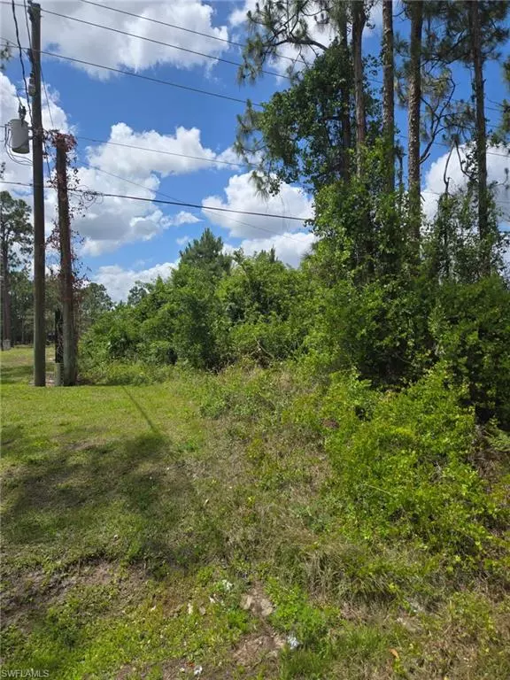 Naples, FL 34120,2556 Randall BLVD