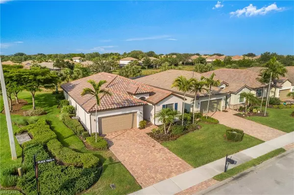 Estero, FL 33928,20207 Black Tree LN