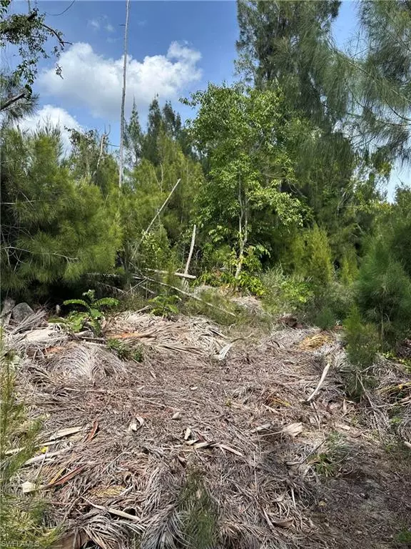 North Fort Myers, FL 33917,0 Corner lot
