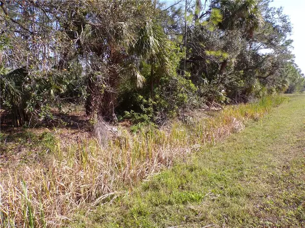 Port Charlotte, FL 33953,1316 Biscayne DR