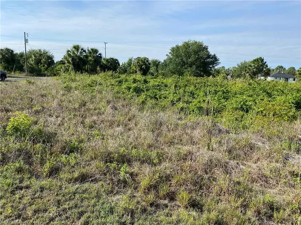 Lehigh Acres, FL 33971,5903 Pat AVE N