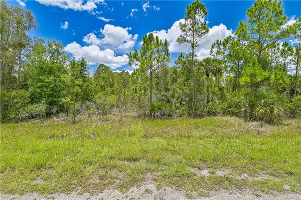 2145 Viscount AVE, Lehigh Acres, FL 33972
