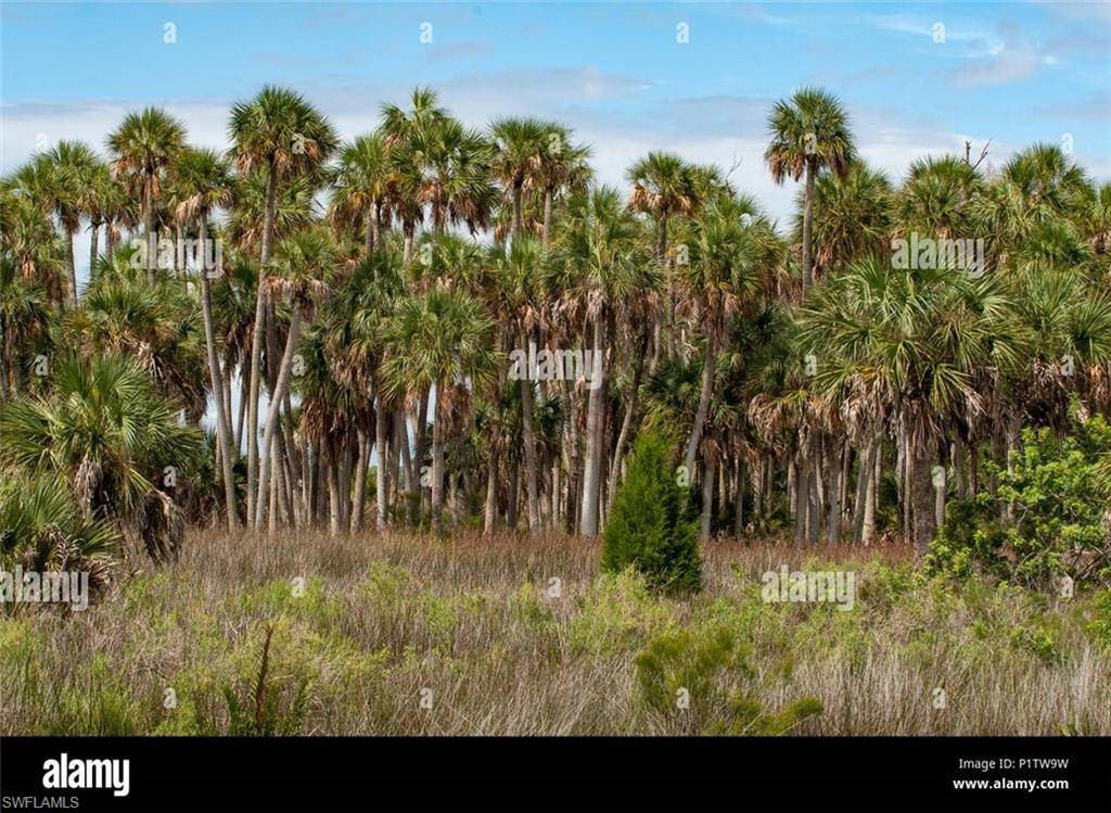 Naples, FL 34120,3rd ST NW
