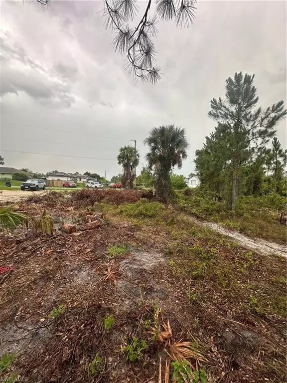 Lehigh Acres, FL 33974,1206 Cordoba ST E