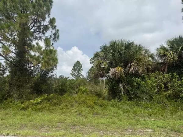 1115 Grant AVE, Lehigh Acres, FL 33972