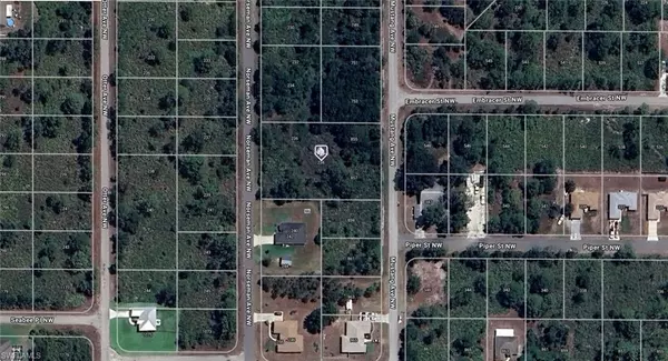 Lake Placid, FL 33852,238 Norseman AVE NW