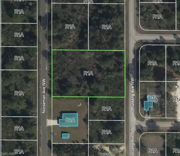 Lake Placid, FL 33852,238 Norseman AVE NW