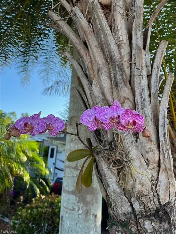 Fort Myers, FL 33905,10339 Prairie Iris TRL