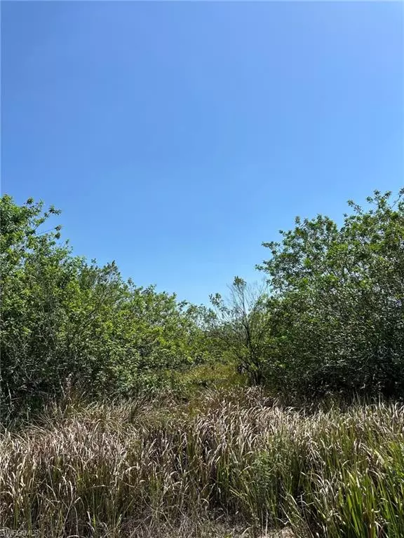 Labelle, FL 33935,6389 6th RD