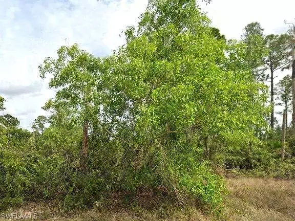 Lehigh Acres, FL 33974,1247 Edna ST E