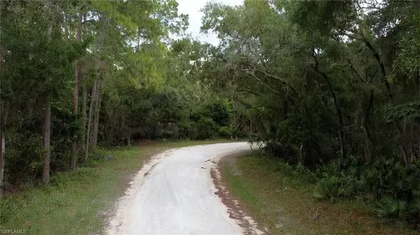 Webster, FL 33597,7200 Norway ST