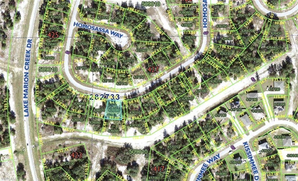 1348 Homosassa DR, Poinciana Place, FL 34759
