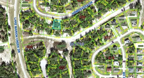 Poinciana Place, FL 34759,1348 Homosassa DR