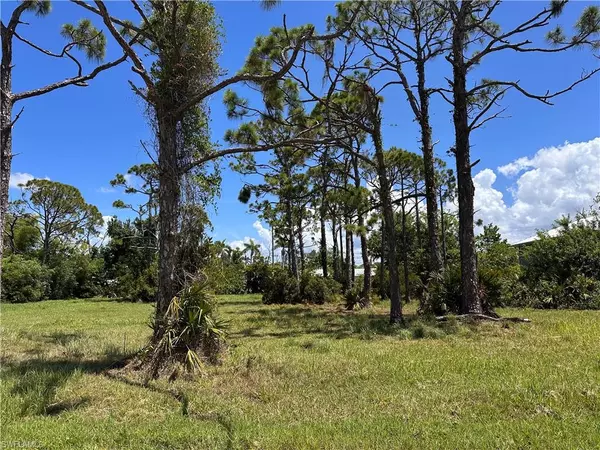 St. James City, FL 33956,3728 Mango ST