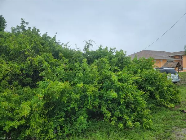 Lehigh Acres, FL 33976,3114 5th St SW