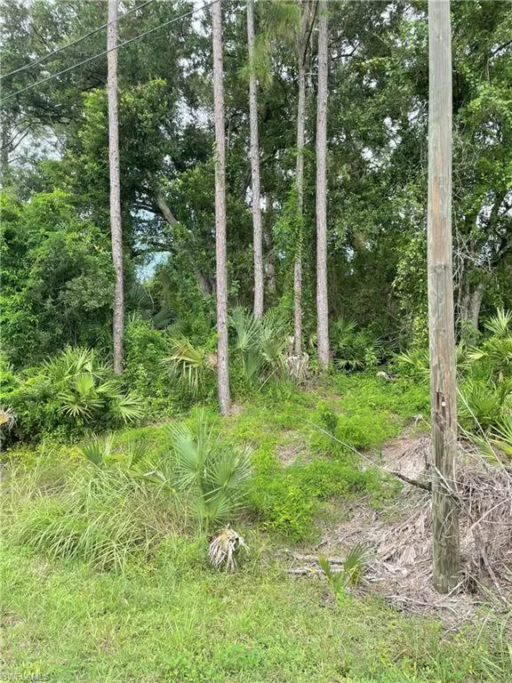 Lehigh Acres, FL 33972,410 Eighth AVE