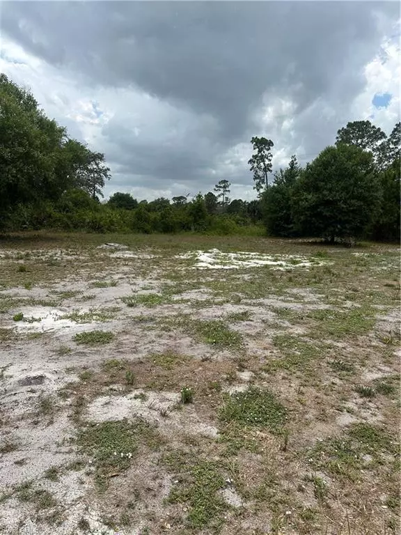 Clewiston, FL 33440,655 S Live Oak ST