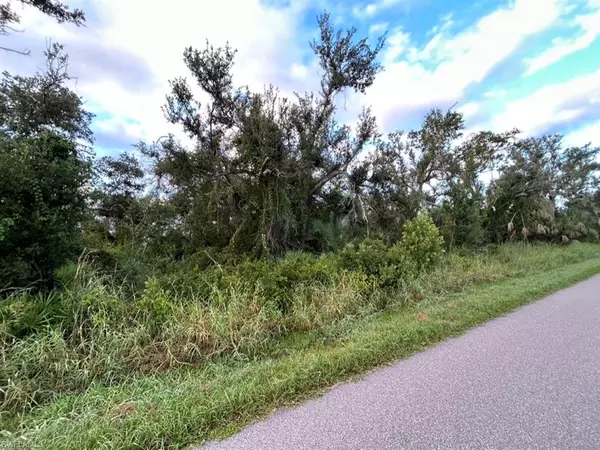 Punta Gorda, FL 33982,29431 Nottingham RD