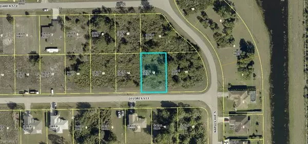 Lehigh Acres, FL 33974,1253 Delores ST E
