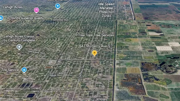 647 Mulberry AVE S, Lehigh Acres, FL 33974