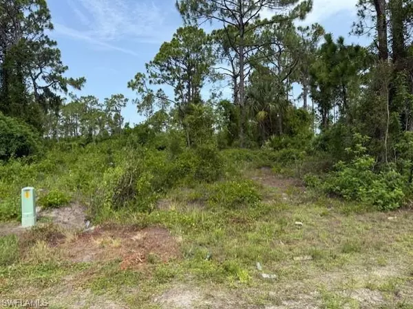 Lehigh Acres, FL 33974,422 PAULINE AVE