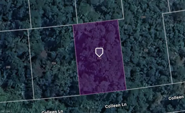 228 Coleen LN, Lake Placid, FL 33852