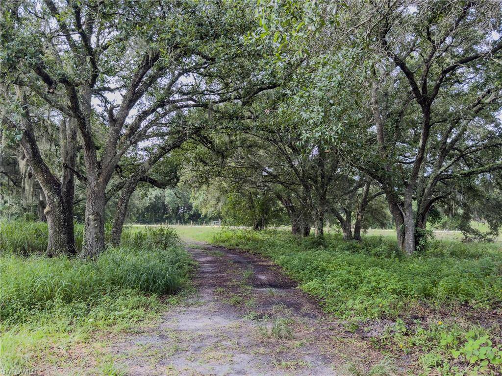 Labelle, FL 33935,4932 Loblolly Bay RD