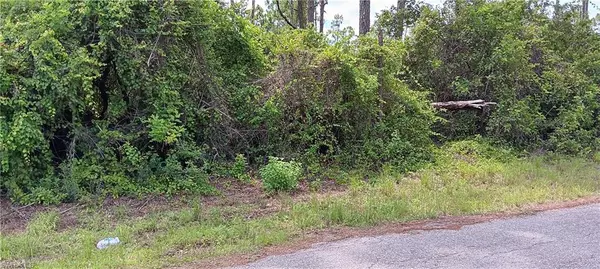 Lehigh Acres, FL 33974,610 Wabasso AVE S