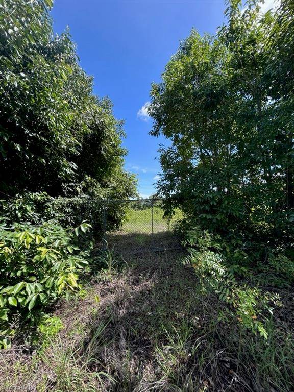 Labelle, FL 33935,7644 8th PL