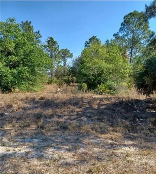 Lehigh Acres, FL 33972,1406 Henry AVE