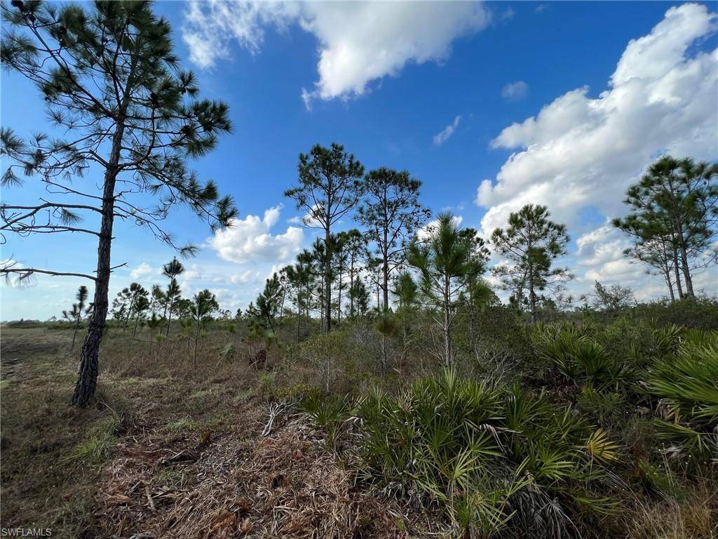 50044 Bermont RD, Punta Gorda, FL 33982