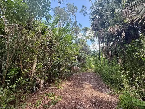 Naples, FL 34117,3825 13th AVE SW