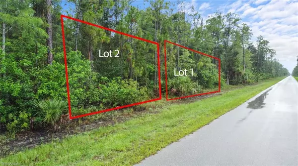 Naples, FL 34120,XXX 2nd Ave NE (Lot 1)