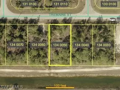 Lehigh Acres, FL 33972,409 Tremaine ST