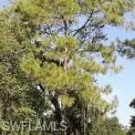12th AVE SE, Naples, FL 34117