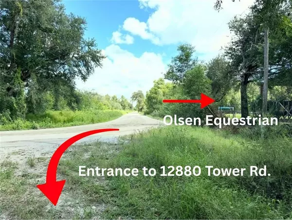 Bonita Springs, FL 34135,12880 Tower RD