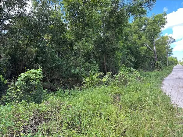 Bonita Springs, FL 34135,12880 Tower RD