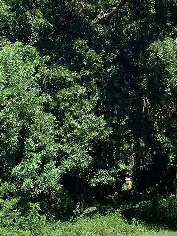 Immokalee, FL 34142,4910 N Miraham DR