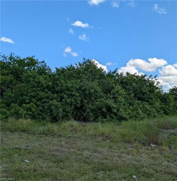 Labelle, FL 33935,9012 S Casa CT