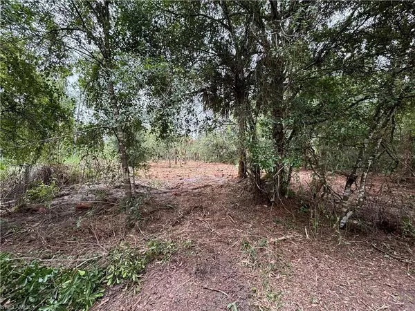 Other, FL 33440,701 Tampa AVE