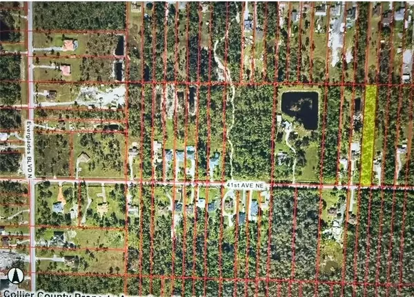 Naples, FL 34120,41st AVE NE
